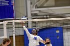 Volleyball vs RWU  Wheaton Women’s Volleyball vs Roger Williams University. : Volleyball, VB
